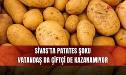 Sivas’ta patates şoku: Vatandaş da çiftçi de kazanamıyor