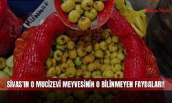 Sivas'ın O Mucizevi Meyvesinin O Bilinmeyen Faydaları!