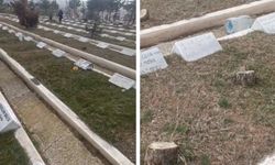 Sivas’ta Mezarlık İçindeki Müdahale Gündem Oldu