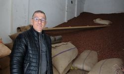 Ramazan Bayramı Öncesi Fındık Fiyatlarında Düşüş