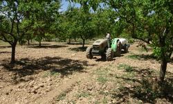 Bahçelerde Sessiz Tehlike: Önlem Alınmazsa Yıllarca Ürün Yok