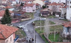 Sivas'ta beklenen misafirler 20 yıl sonra aynı yere geri döndü