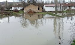 Çekerek Irmağı Taştı, Pancar Ekimi Durdu
