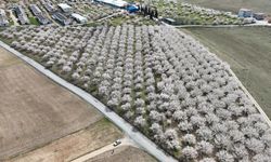 Malatya’nın Beyaz Altını Bu Kez Havadan Görüntülendi!