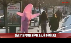 Sivas Sokaklarında Pembe Köpek Balığı Görüldü!