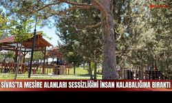 Sivas’ta Doğanın Sessizliği Yerini Kalabalığa Bıraktı