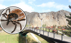 Sivas’ta Yaz Öncesi Drone Destekli İlaçlama Başladı