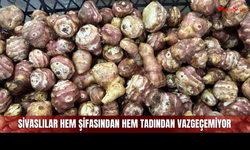 Sivas Köylerinden Gelen Mucizevi Besin