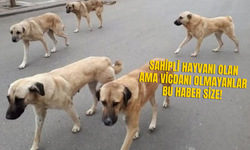 Sahipli Hayvanı Olanlar Dikkat! Tek Bir Hatanın Bedeli Tam 108 Bin Lira!