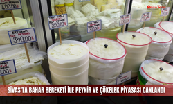 Sivas’ta bahar bereketi ile peynir ve çökelek piyasası canlandı