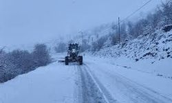 Mart Sürprizi! Sivas’ta Bahar Yerini Kara Bıraktı