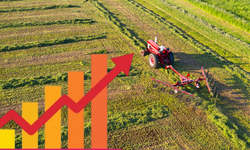 TÜİK O Verileri Açıkladı! Sivaslı Üreticiyi Kara Kara Düşündüren Tablo!