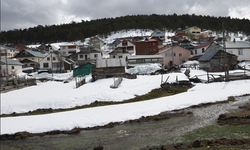 Sivas'ta Eğriçimen Yaylası Doğayla Yeniden Canlandı !