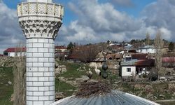 Sivas’ta Sadakatin Simgesi Oldular: Her Bahar Aynı Kubbe