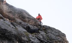 Sivas'ta Sarp Kayalıklarda 2 Gün: Anne Keçi Kurtarıldı