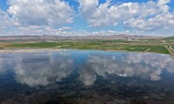 Hafik’te Doğa Yeniden Sahneye Çıktı: Yıllar Sonra Taştı