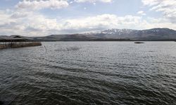 Sivas’taki gölde şaşırtan dönüşüm