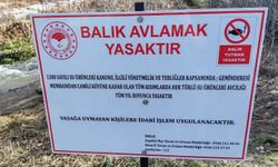 Sivaslı Balıkçılar Aman Dikkat! O Dere Artık Yasaklı