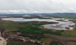 Sivas'ta Kızılırmak taştı, tarlalar sular altında kaldı