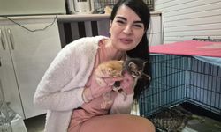 Cama Vurdu, Yardım İstedi! İçeri Girdikten Günler Sonra Olanlar İnanılmaz