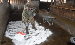 Yozgatlı Çiftçi Hayvan Ölümlerini Bu Yöntemle Durdurdu!