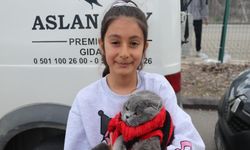 Yeşil Sahaların En İlginç Misafiri! Görenler Gözlerine İnanamadı!