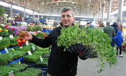 Sivas’ta Fide ve Tohuma Yoğun İlgi: Bahçesi Olan Aynı Yola Girdi