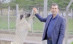 Sivas’tan Tüm Türkiye’ye Mesaj Sağlıklı Gıdanın Anahtarı Veteriner Hekimler