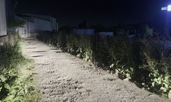 Depoya Kurşun Yağdı Genç Avukat Hayatını Kaybetti!