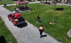 Sivas’ta kenelere karşı havadan ve karadan mücadele