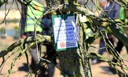 Sivas'ta Şehitlerin Adı Bu Kez Fidanlarda Yaşayacak