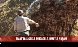 Sivas'ta Kömürün İçinde Büyüyen Hayaller