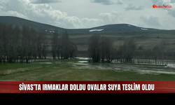 Sivas'ta taşan sular tarlalara kadar ulaştı