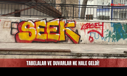 Sivas'ta O Görüntüler Saç Baş Yoldurdu