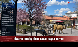 Kapısından Giren Geçmişe Dönüyor!