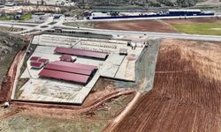 Kurban Bayramı Öncesi Sivas’ta Pazarda Yoğun Mesai