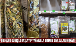 Sivas’ta Havalara Aldanan Yataklara Düştü!