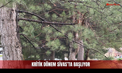 Adım Atan Hapşırıyor! Sivas'ta Kritik Dönem Başlıyor!