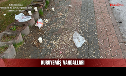Keyifle Oturdukları Yerleri Çöplüğe Çevirdiler!