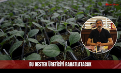 Sivas Ziraat Odası'ndan Uygun Fiyatlı Fide Hamlesi