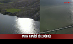 Sivas'ta Çiftçinin Umudu Sulara Gömüldü! Ekin Arazisi Göle Döndü!