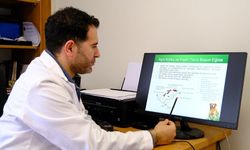 Sokakta Gördüğünüz Her Hayvan Aslında Size Bir Şey Anlatıyor