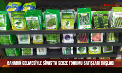 Baharın gelmesiyle Sivas'ta sebze tohumu satışları başladı