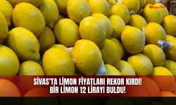 Sivas'ta limon fiyatları rekor kırdı bir limon 12 lirayı buldu!