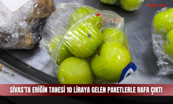 Sivas’ta eriğin tanesi 10 liraya gelen paketlerle rafa çıktı