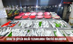 Sivas’ta çiftlik balığı tezgahlarda tüketici bulamıyor
