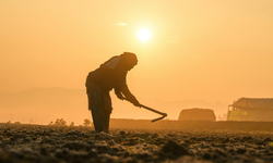 Bir Milyardan Fazla Kişinin Geçim Kaynağı Tehlike Altında
