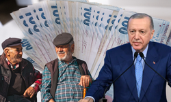 Emekliye Temmuz Zammı Şimdiden Netleşiyor !