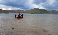 Sivas’ta Barajda Mahsur Kalan İnek Kurtarıldı