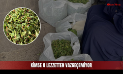Kilosu 200 TL Oldu Ama Kimse Vazgeçemiyor!